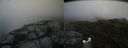 ./images/calvert/buxton2/20170729/buxton220170729_144428M.jpg