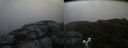 ./images/calvert/buxton2/20170729/buxton220170729_151927M.jpg