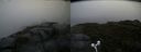 ./images/calvert/buxton2/20170812/buxton220170812_192758M.jpg