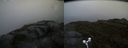 ./images/calvert/buxton2/20170812/buxton220170812_202733M.jpg