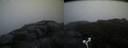 ./images/calvert/buxton2/20170812/buxton220170812_211225M.jpg