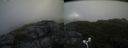 ./images/calvert/buxton2/20170813/buxton220170813_080758M.jpg