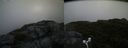 ./images/calvert/buxton2/20170813/buxton220170813_081259M.jpg
