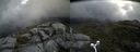 ./images/calvert/buxton2/20170813/buxton220170813_113802M.jpg
