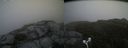 ./images/calvert/buxton2/20170813/buxton220170813_114759M.jpg