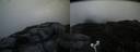 ./images/calvert/buxton2/20170813/buxton220170813_211851M.jpg