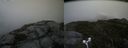 ./images/calvert/buxton2/20170814/buxton220170814_125333M.jpg