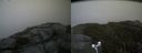./images/calvert/buxton2/20170814/buxton220170814_125831M.jpg