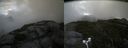 ./images/calvert/buxton2/20170814/buxton220170814_130833M.jpg