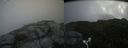 ./images/calvert/buxton2/20170814/buxton220170814_132839M.jpg