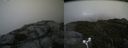 ./images/calvert/buxton2/20170814/buxton220170814_135845M.jpg
