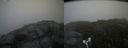 ./images/calvert/buxton2/20170814/buxton220170814_140837M.jpg
