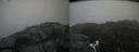 ./images/calvert/buxton2/20170814/buxton220170814_141335M.jpg