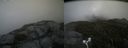 ./images/calvert/buxton2/20170814/buxton220170814_143334M.jpg
