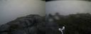 ./images/calvert/buxton2/20170816/buxton220170816_064631M.jpg