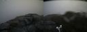 ./images/calvert/buxton2/20170816/buxton220170816_130133M.jpg