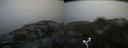 ./images/calvert/buxton2/20170816/buxton220170816_131134M.jpg