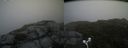 ./images/calvert/buxton2/20170816/buxton220170816_145132M.jpg