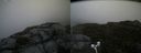 ./images/calvert/buxton2/20170816/buxton220170816_151637M.jpg