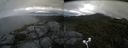 ./images/calvert/buxton2/20170817/buxton220170817_085009M.jpg