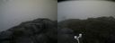 ./images/calvert/buxton2/20170817/buxton220170817_180505M.jpg