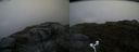 ./images/calvert/buxton2/20170818/buxton220170818_065946M.jpg