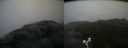 ./images/calvert/buxton2/20170818/buxton220170818_074446M.jpg