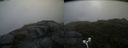 ./images/calvert/buxton2/20170818/buxton220170818_075447M.jpg