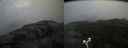 ./images/calvert/buxton2/20170818/buxton220170818_081947M.jpg