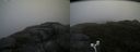 ./images/calvert/buxton2/20170818/buxton220170818_091949M.jpg