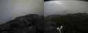 ./images/calvert/buxton2/20170818/buxton220170818_092950M.jpg