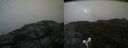 ./images/calvert/buxton2/20170818/buxton220170818_100445M.jpg