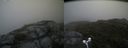 ./images/calvert/buxton2/20170818/buxton220170818_105447M.jpg