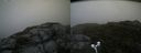 ./images/calvert/buxton2/20170818/buxton220170818_105947M.jpg
