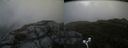 ./images/calvert/buxton2/20170818/buxton220170818_110446M.jpg