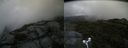 ./images/calvert/buxton2/20170818/buxton220170818_121453M.jpg