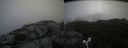 ./images/calvert/buxton2/20170818/buxton220170818_123947M.jpg