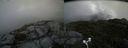 ./images/calvert/buxton2/20170818/buxton220170818_125446M.jpg