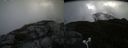 ./images/calvert/buxton2/20170819/buxton220170819_094433M.jpg