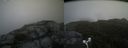 ./images/calvert/buxton2/20170819/buxton220170819_094925M.jpg