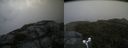 ./images/calvert/buxton2/20170819/buxton220170819_100430M.jpg
