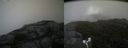 ./images/calvert/buxton2/20170819/buxton220170819_101435M.jpg