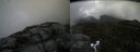 ./images/calvert/buxton2/20170819/buxton220170819_102426M.jpg