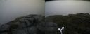 ./images/calvert/buxton2/20170820/buxton220170820_080904M.jpg