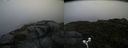 ./images/calvert/buxton2/20170820/buxton220170820_091907M.jpg