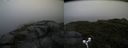 ./images/calvert/buxton2/20170820/buxton220170820_092908M.jpg