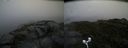 ./images/calvert/buxton2/20170820/buxton220170820_110408M.jpg