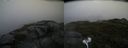 ./images/calvert/buxton2/20170820/buxton220170820_112414M.jpg