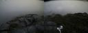 ./images/calvert/buxton2/20170820/buxton220170820_114905M.jpg