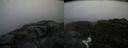 ./images/calvert/buxton2/20170820/buxton220170820_122405M.jpg